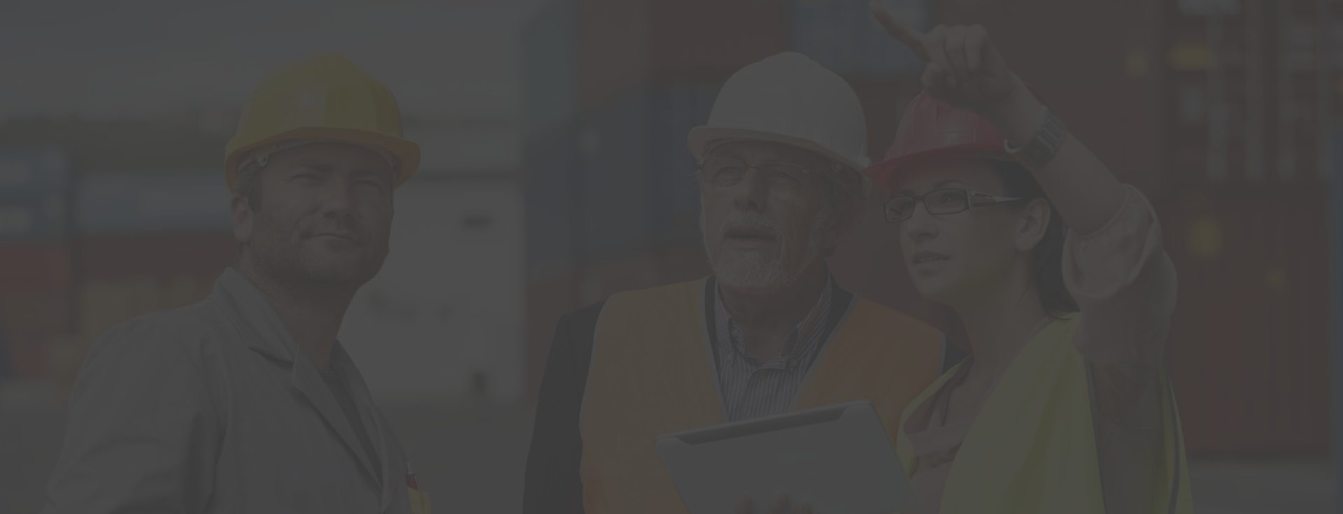 Andrea Ireland conducts workplace assessment